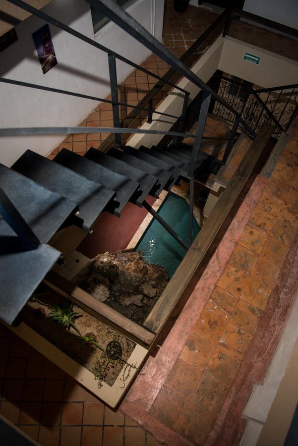 Deja Hostel Playa del Carmen Exteriér fotografie